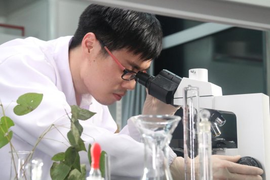 4.研发人员正在对药材进行研究